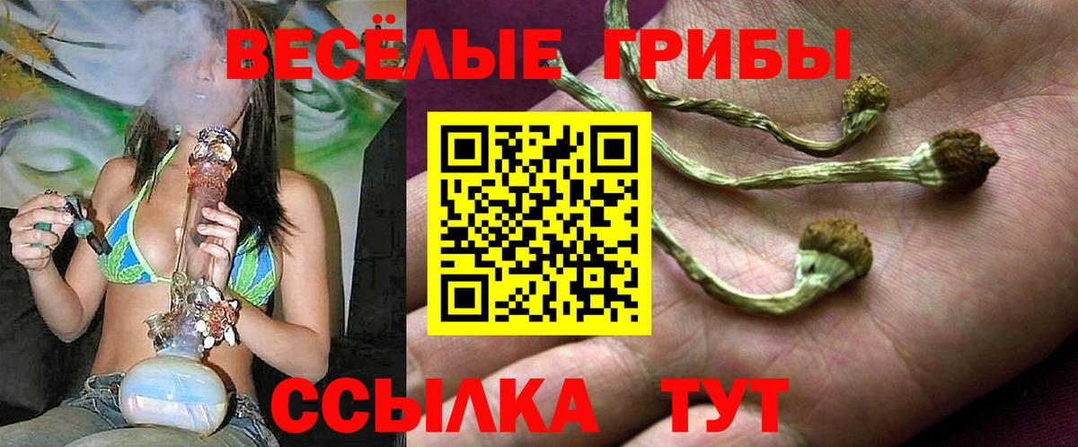 Галлюциногенные грибы Cubensis  Галлюциногенные грибы GOLDEN TEACHER  Мирный  Вход с VPN 